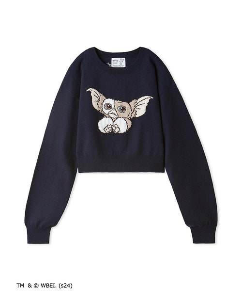 Snidel GREMLINS Special Order Jacquard Knit Cropped Sweater On Sale